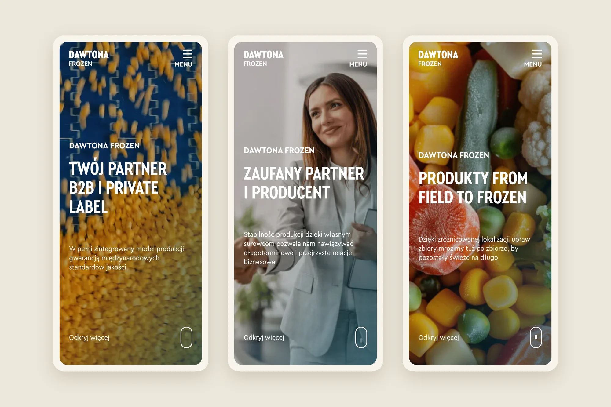 Trzy ekrany dawtonafrozen.pl na telefonie: „Twój partner B2B i private label”, „Zaufany partner i producent” i „Produkty from field to frozen”.