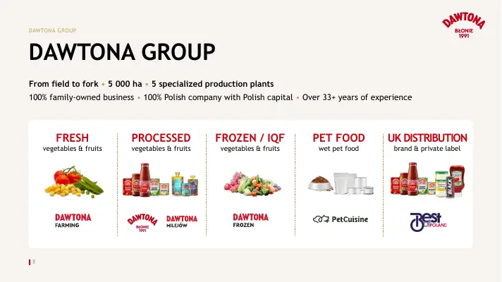 Slajd „Dawtona Group” z pięcioma obszarami działalności i logo marek.