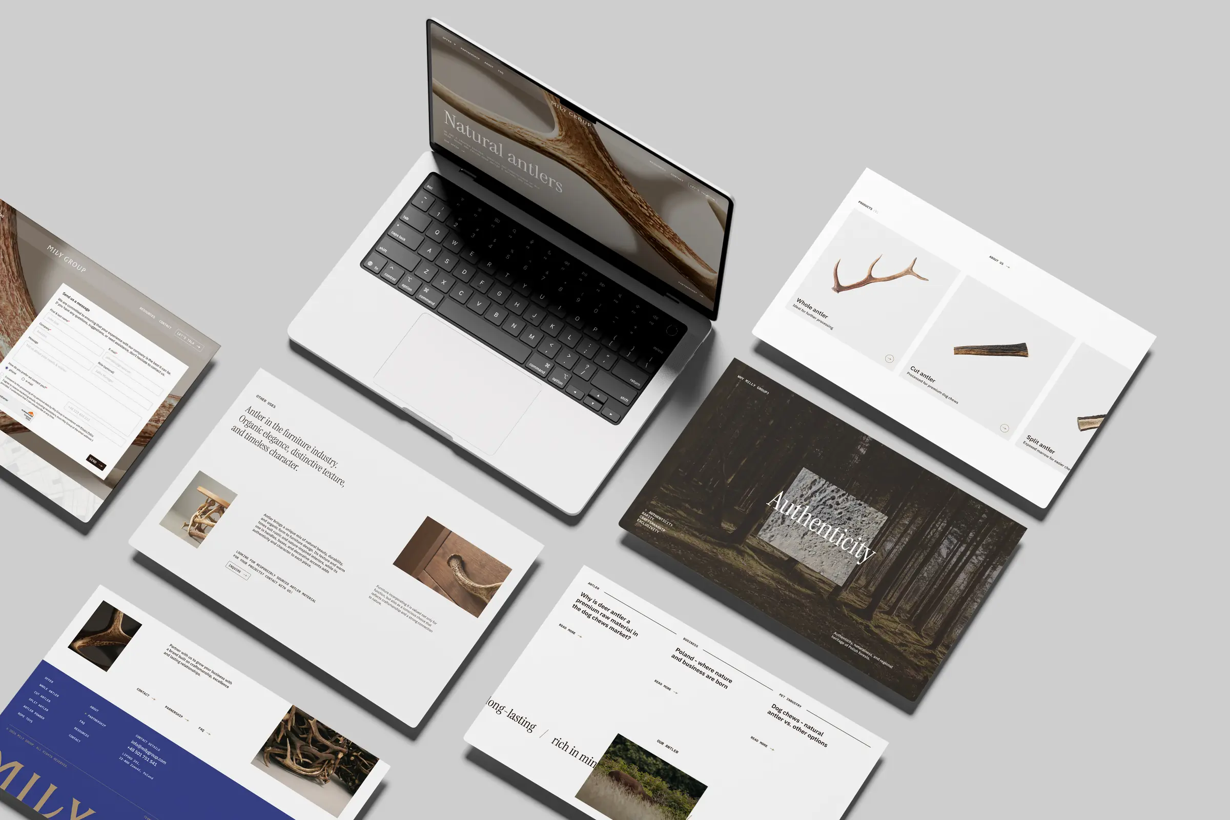 Laptop ze stroną milygroup.com i rozłożone wydruki podstron, ulotki i materiałów Mily Group, widok z góry.