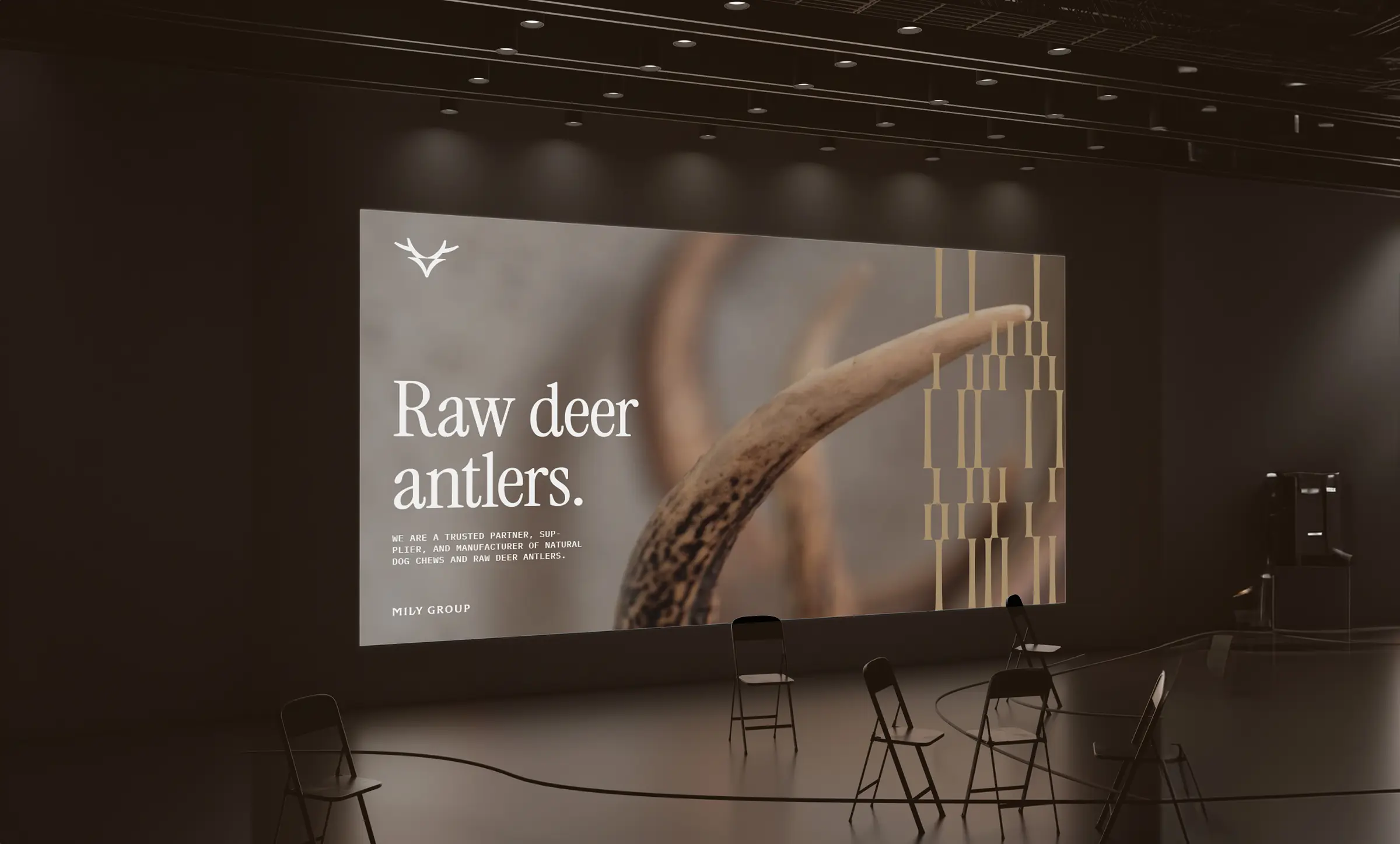 Wielki ekran w sali konferencyjnej z hasłem „Raw deer antlers.”, porożem i patternem Mily Group.