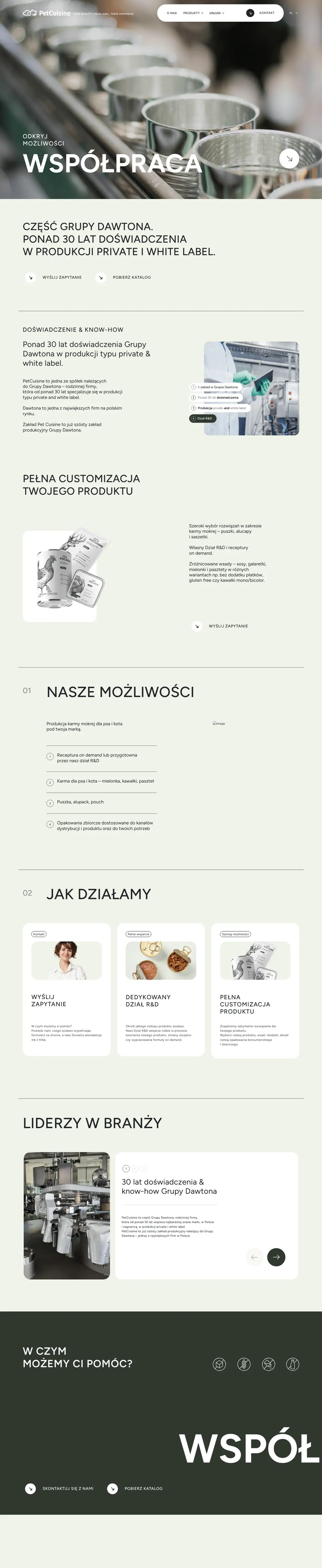 Podstrona Usługi na pet-cuisine.pl z procesem współpracy