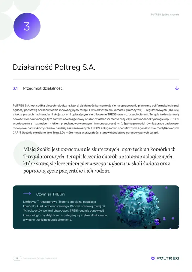 Strona 17 sprawozdania